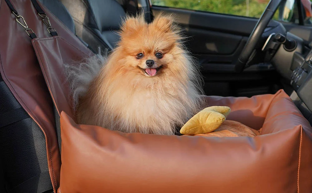 Basenjis Dog Car Seat for Volkswagen Jetta