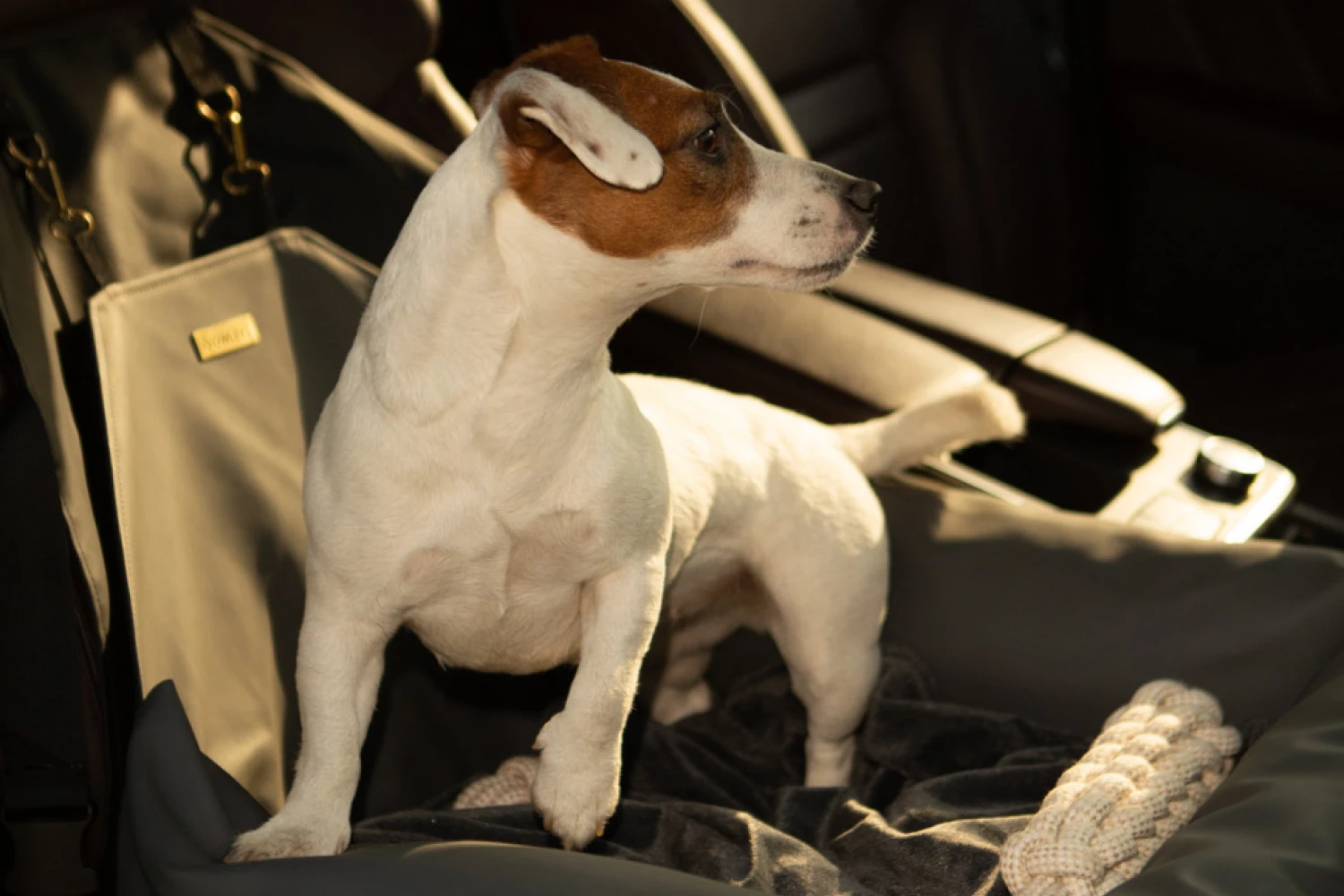 Basenjis Dog Car Seat for Volkswagen Jetta